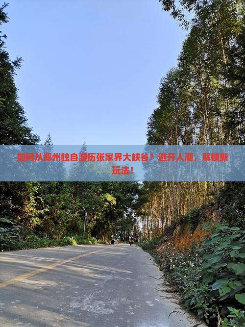 如何从郑州独自游历张家界大峡谷？避开人潮，解锁新玩法！