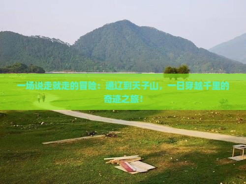 一场说走就走的冒险：通辽到天子山，一日穿越千里的奇迹之旅！