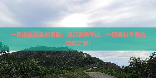 一场说走就走的冒险：通辽到天子山，一日穿越千里的奇迹之旅！