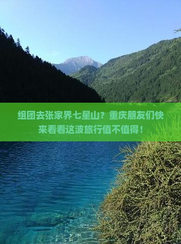 组团去张家界七星山？重庆朋友们快来看看这波旅行值不值得！