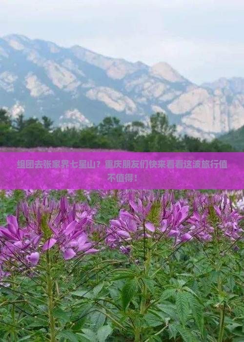 组团去张家界七星山？重庆朋友们快来看看这波旅行值不值得！