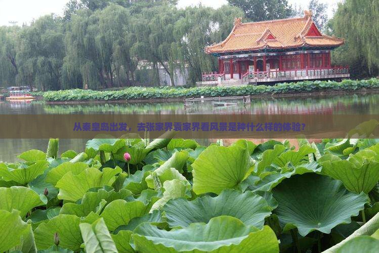 从秦皇岛出发，去张家界袁家界看风景是种什么样的体验？