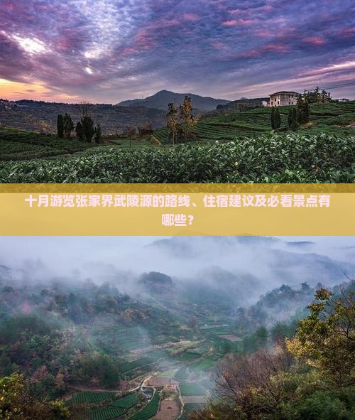 十月游览张家界武陵源的路线、住宿建议及必看景点有哪些？