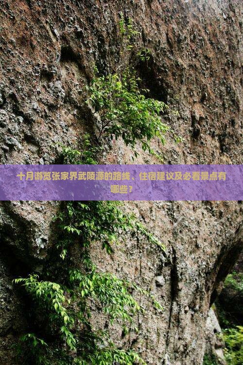 十月游览张家界武陵源的路线、住宿建议及必看景点有哪些？