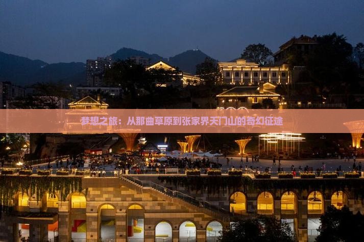 梦想之旅：从那曲草原到张家界天门山的奇幻征途