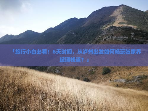 「旅行小白必看！6天时间，从泸州出发如何畅玩张家界玻璃栈道？」