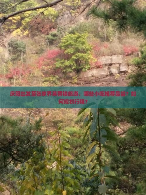 庆阳出发至张家界芙蓉镇旅游，哪些小吃推荐品尝？如何规划行程？