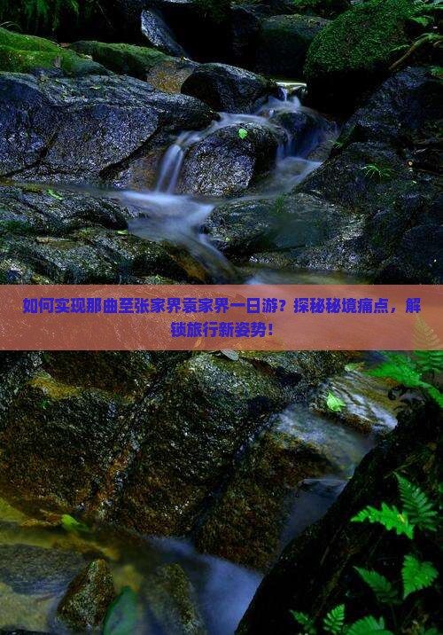 如何实现那曲至张家界袁家界一日游？探秘秘境痛点，解锁旅行新姿势！