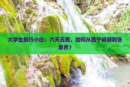 大学生旅行小白：六天五夜，如何从西宁畅游到张家界？