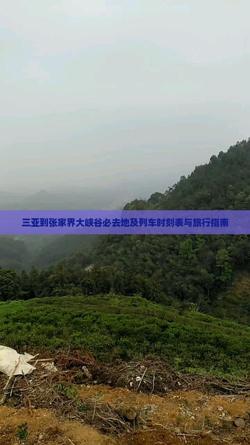 三亚到张家界大峡谷必去地及列车时刻表与旅行指南