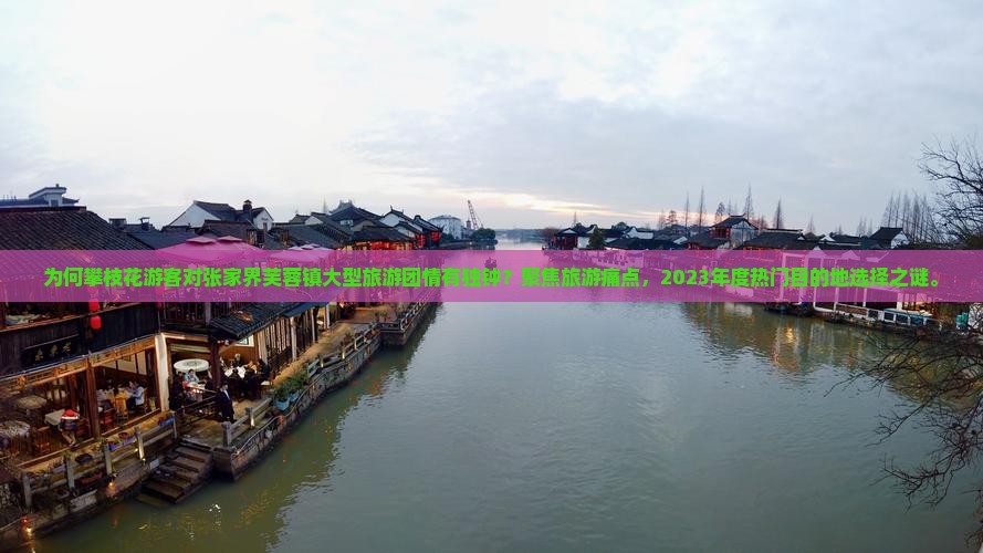 为何攀枝花游客对张家界芙蓉镇大型旅游团情有独钟？聚焦旅游痛点，2023年度热门目的地选择之谜。