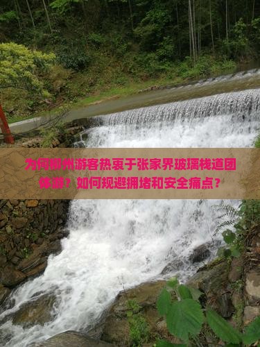 为何柳州游客热衷于张家界玻璃栈道团体游？如何规避拥堵和安全痛点？