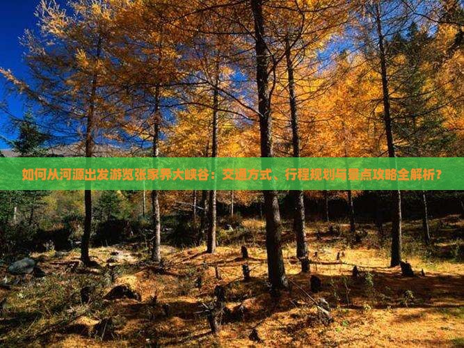 如何从河源出发游览张家界大峡谷：交通方式、行程规划与景点攻略全解析？