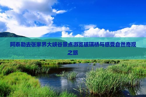 阿泰勒去张家界大峡谷景点游览玻璃桥与感受自然奇观之旅