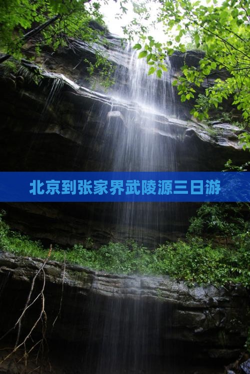 北京到张家界武陵源三日游