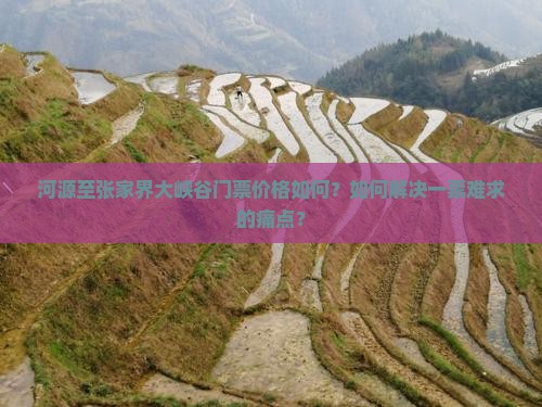 河源至张家界大峡谷门票价格如何？如何解决一票难求的痛点？