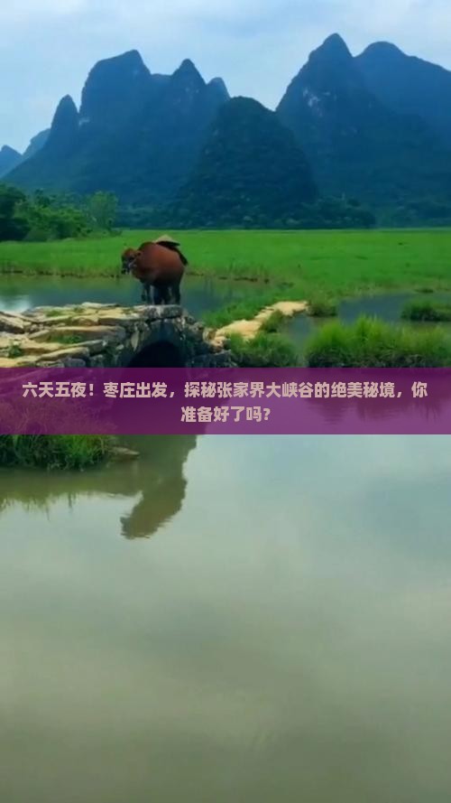 六天五夜！枣庄出发，探秘张家界大峡谷的绝美秘境，你准备好了吗？