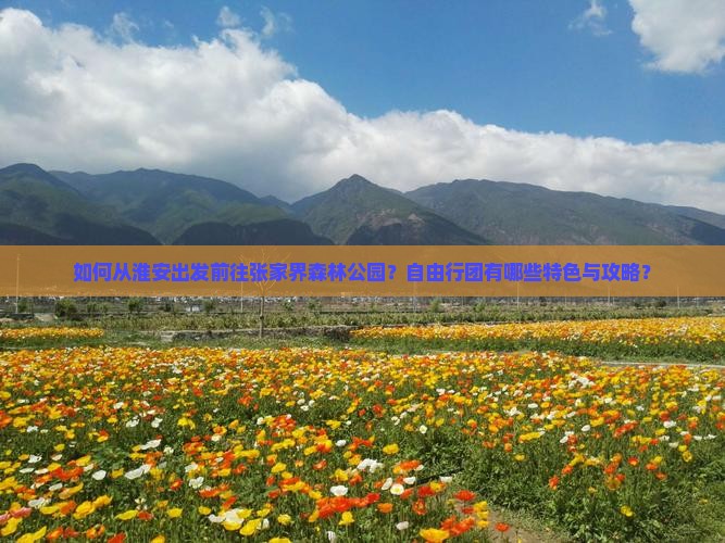 如何从淮安出发前往张家界森林公园？自由行团有哪些特色与攻略？
