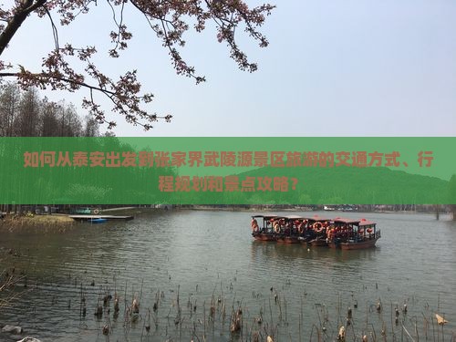 如何从泰安出发到张家界武陵源景区旅游的交通方式、行程规划和景点攻略？