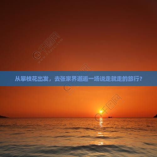 从攀枝花出发，去张家界邂逅一场说走就走的旅行？