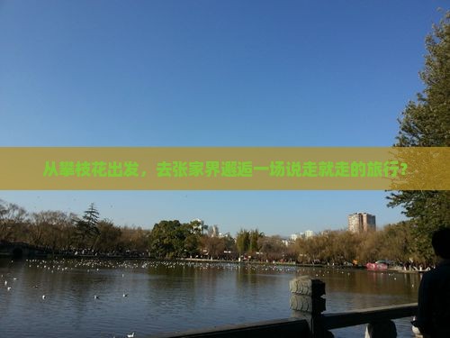 从攀枝花出发，去张家界邂逅一场说走就走的旅行？
