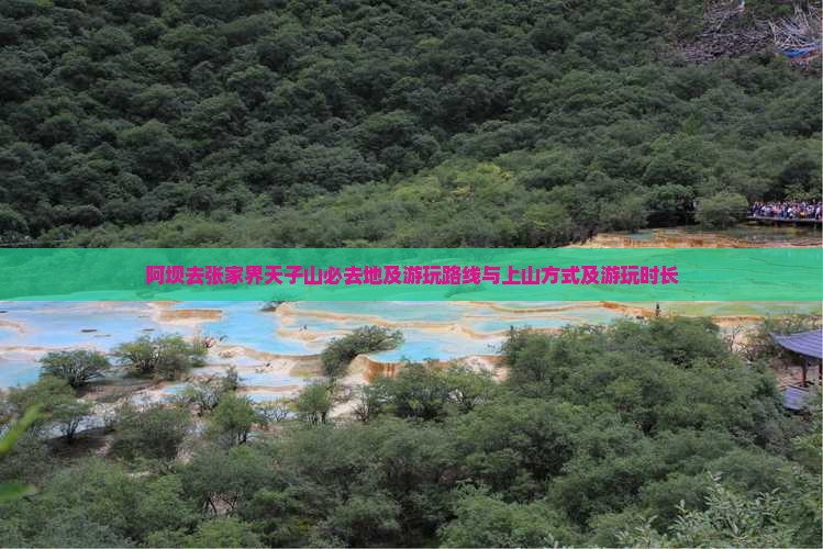 阿坝去张家界天子山必去地及游玩路线与上山方式及游玩时长