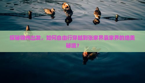 探秘锦州出发，如何自由行穿越到张家界袁家界的绝美秘境？