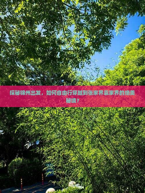 探秘锦州出发，如何自由行穿越到张家界袁家界的绝美秘境？