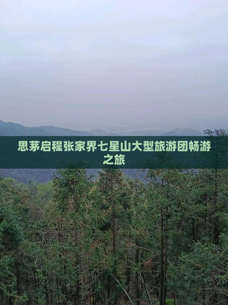 思茅启程张家界七星山大型旅游团畅游之旅
