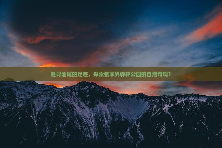 追寻汕尾的足迹，探索张家界森林公园的自然奇观？
