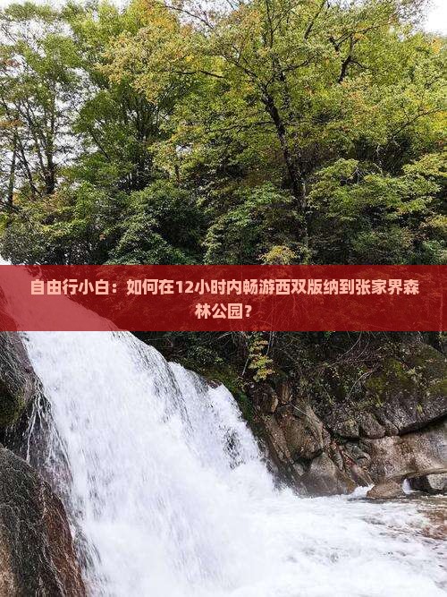 自由行小白：如何在12小时内畅游西双版纳到张家界森林公园？