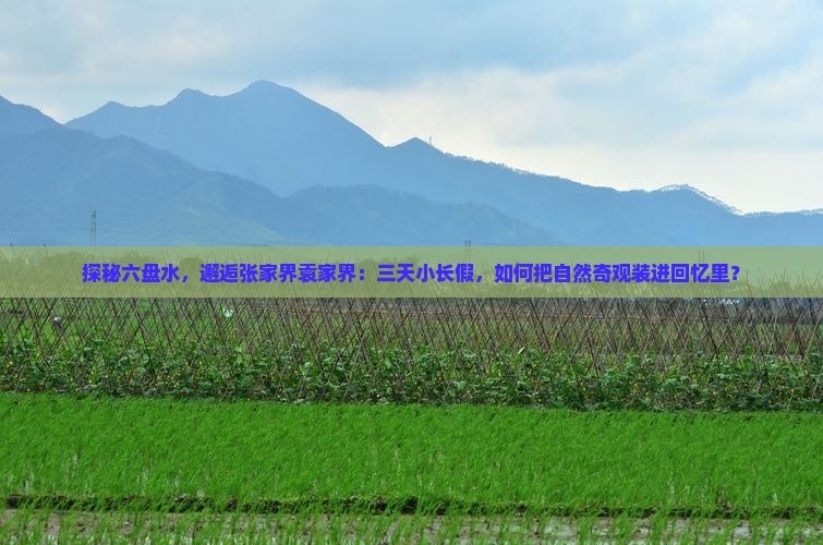 探秘六盘水，邂逅张家界袁家界：三天小长假，如何把自然奇观装进回忆里？