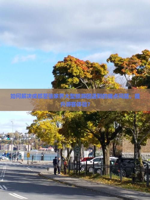 如何解决成都至张家界大型旅游团遇到的痛点问题，提升游客体验？
