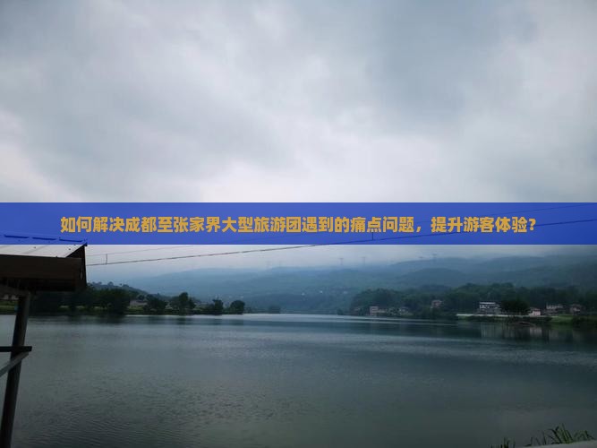 如何解决成都至张家界大型旅游团遇到的痛点问题，提升游客体验？