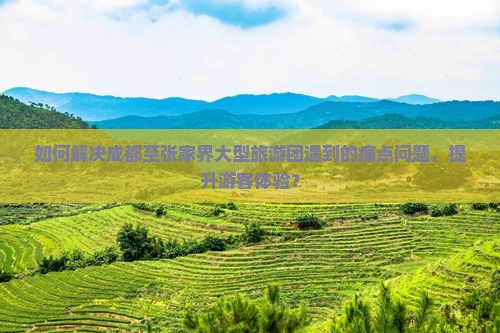 如何解决成都至张家界大型旅游团遇到的痛点问题，提升游客体验？