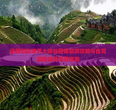 德阳到张家界大峡谷团体旅游攻略与自驾游路线及费用指南