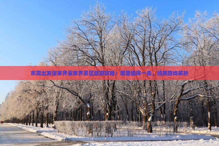 东莞出发张家界袁家界景区旅游攻略：哪里值得一去，经典路线解析