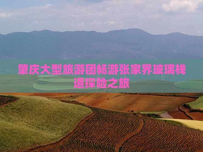 肇庆大型旅游团畅游张家界玻璃栈道探险之旅