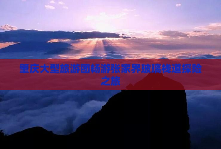 肇庆大型旅游团畅游张家界玻璃栈道探险之旅