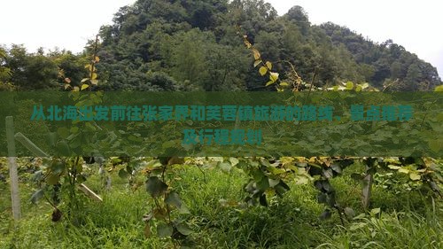从北海出发前往张家界和芙蓉镇旅游的路线、景点推荐及行程规划