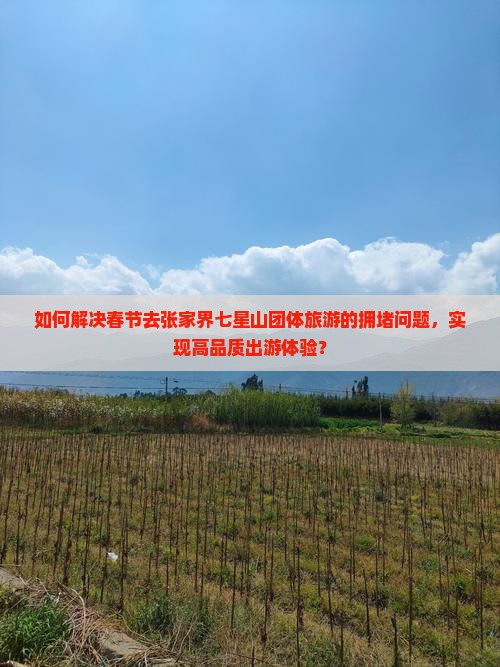 如何解决春节去张家界七星山团体旅游的拥堵问题，实现高品质出游体验？