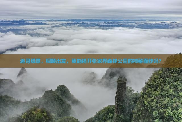 追寻绿意，铜陵出发，我能揭开张家界森林公园的神秘面纱吗？