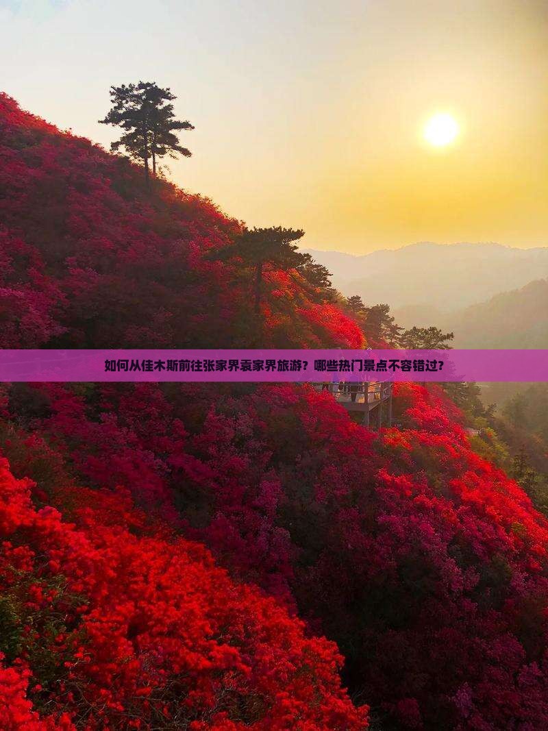 如何从佳木斯前往张家界袁家界旅游？哪些热门景点不容错过？
