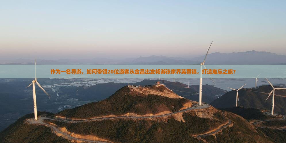 作为一名导游，如何带领20位游客从金昌出发畅游张家界芙蓉镇，打造难忘之旅？