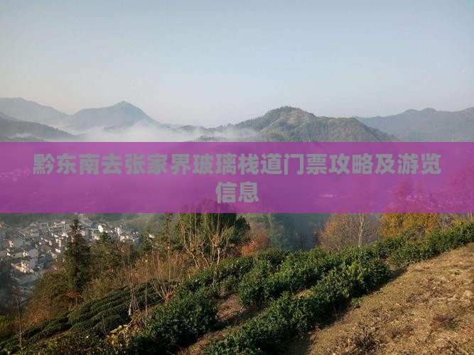 黔东南去张家界玻璃栈道门票攻略及游览信息