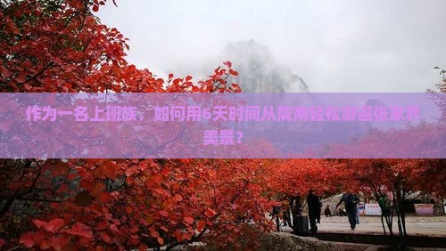 作为一名上班族，如何用6天时间从陇南轻松游遍张家界美景？