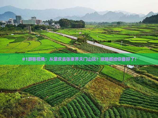 #1游客视角：从肇庆去张家界天门山玩？攻略都给你备好了！