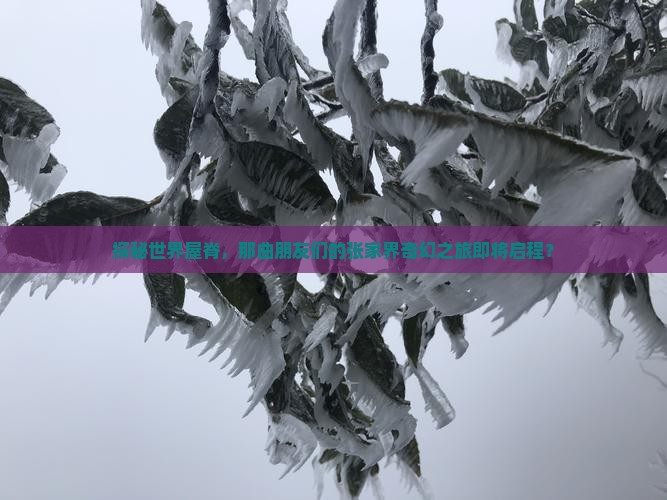 探秘世界屋脊，那曲朋友们的张家界奇幻之旅即将启程？