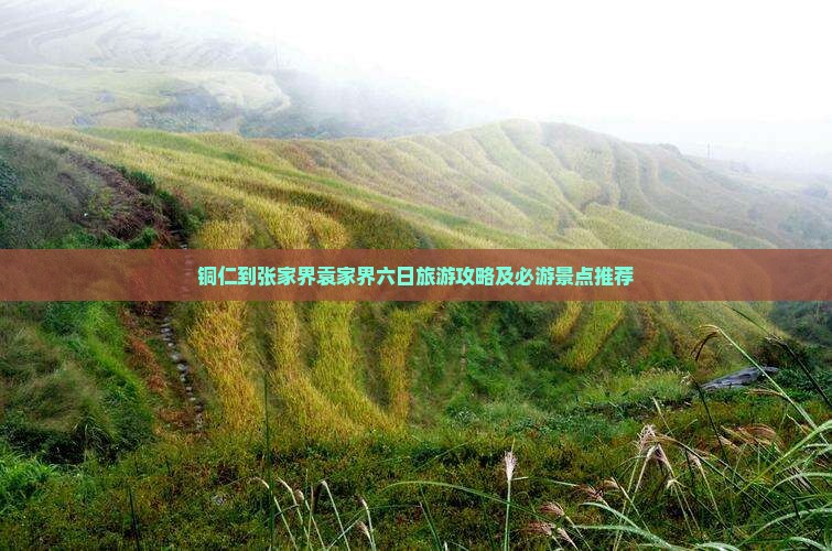 铜仁到张家界袁家界六日旅游攻略及必游景点推荐