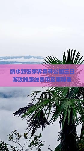 丽水到张家界森林公园三日游攻略路线费用及里程表